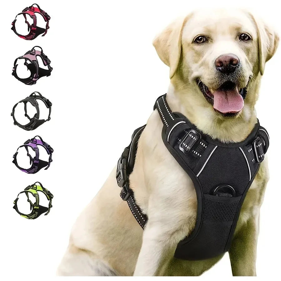 ClassicWalk Leather-Style Harness Set