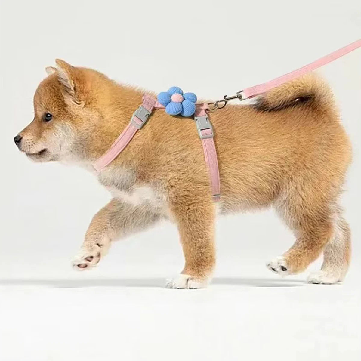 Adjustable Cat Harness & Leash Set – Breathable & Escape-Proof
