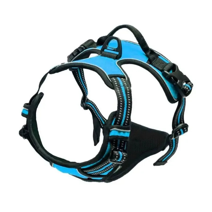 ClassicWalk Leather-Style Harness Set