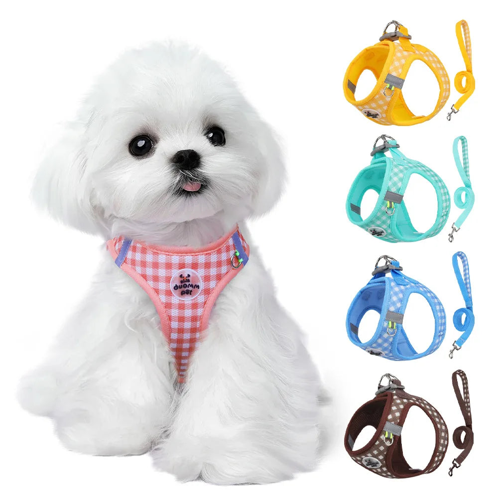 CheckMate Reflective Pet Harness & Lead