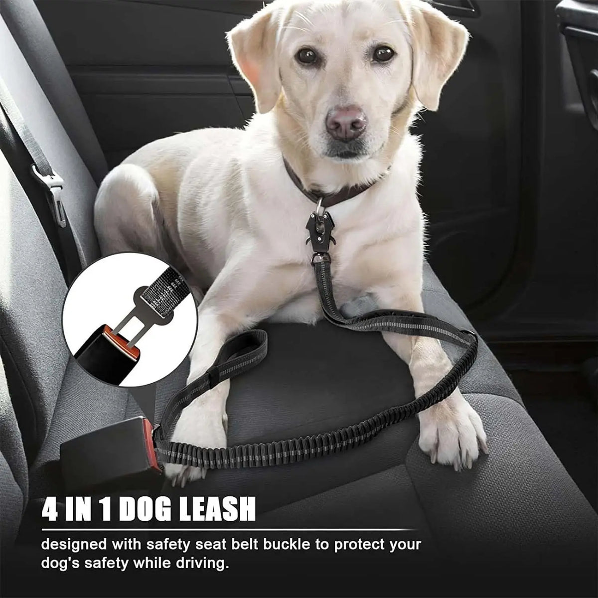 BounceGuard Bungee Dog Leash