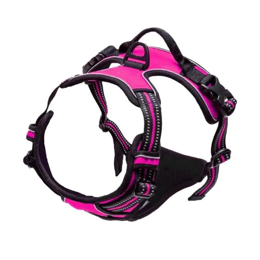 ClassicWalk Leather-Style Harness Set