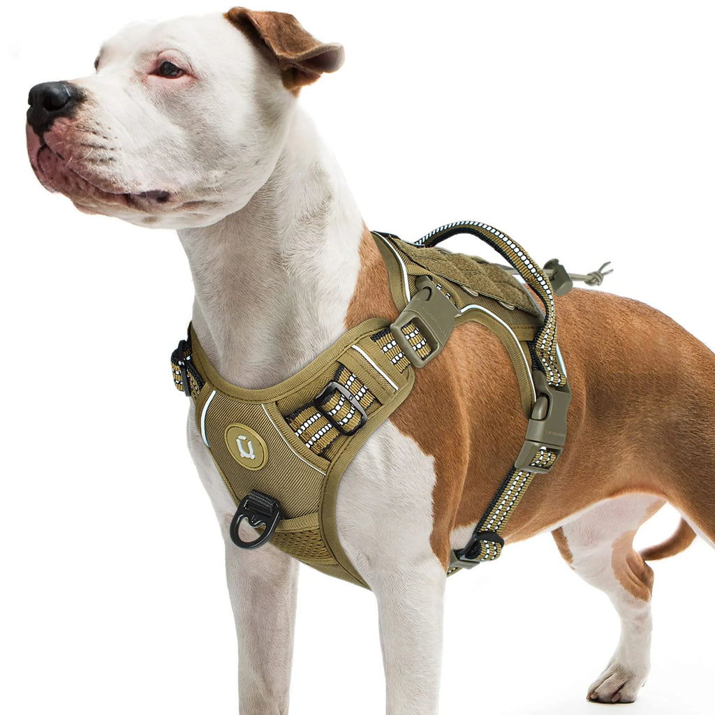 Tactical Dog Harness – No-Pull MOLLE Vest for Medium & Large Dogs