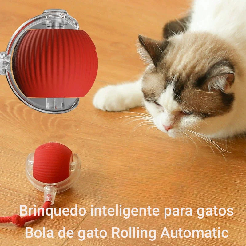 Automatic Rolling Cat Ball Toy – Rechargeable Interactive Toy