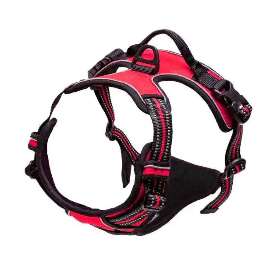ClassicWalk Leather-Style Harness Set