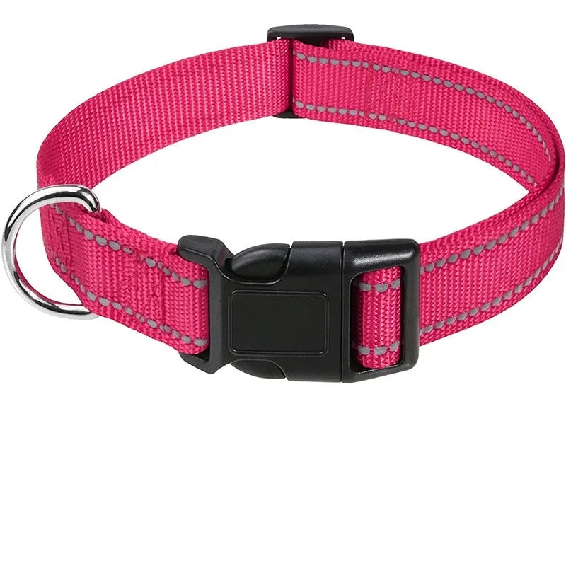 Decorative Choker Collar for Small Dogs & Puppies