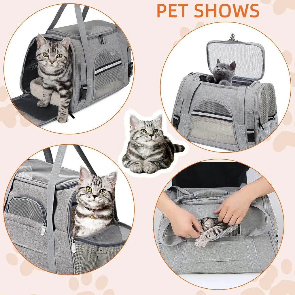 Airline-Approved Pet Carrier Bag – Soft Sided with Mat for Cats & Dogs up to 20lbs