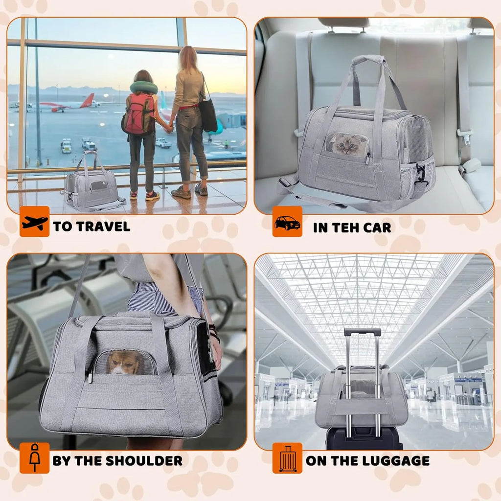Airline-Approved Pet Carrier Bag – Soft Sided with Mat for Cats & Dogs up to 20lbs