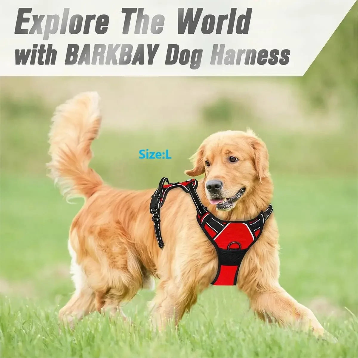 ClassicWalk Leather-Style Harness Set