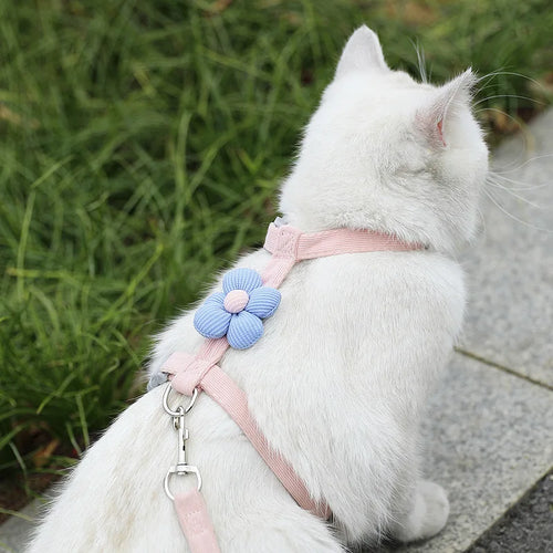 Adjustable Cat Harness & Leash Set – Breathable & Escape-Proof