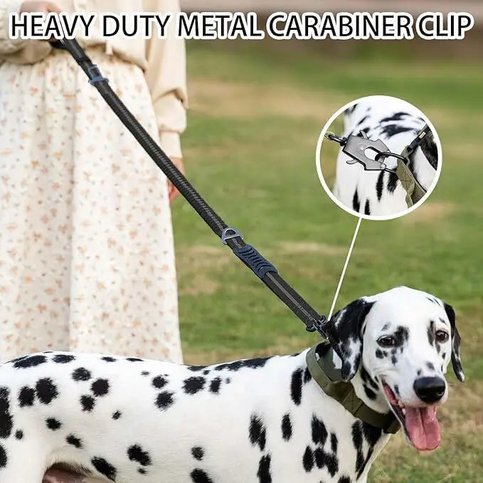 BounceGuard Bungee Dog Leash