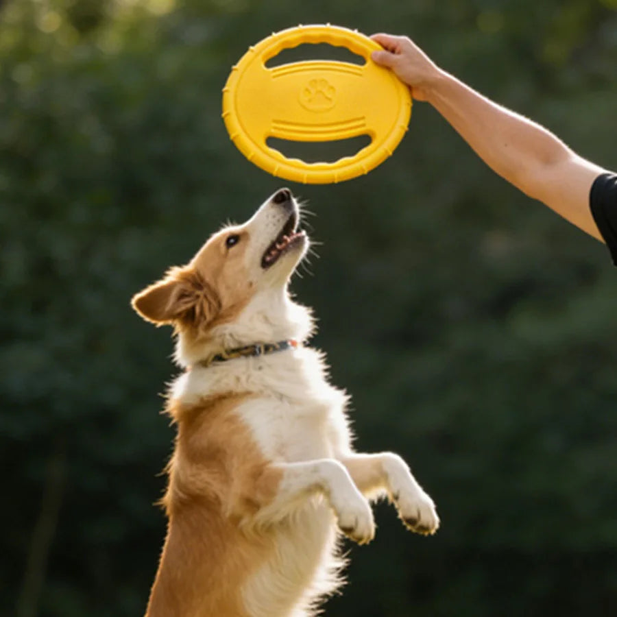 Interactive Flying Disc Dog Toy – Bite-Resistant Outdoor Fun