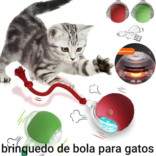 Automatic Rolling Cat Ball Toy – Rechargeable Interactive Toy