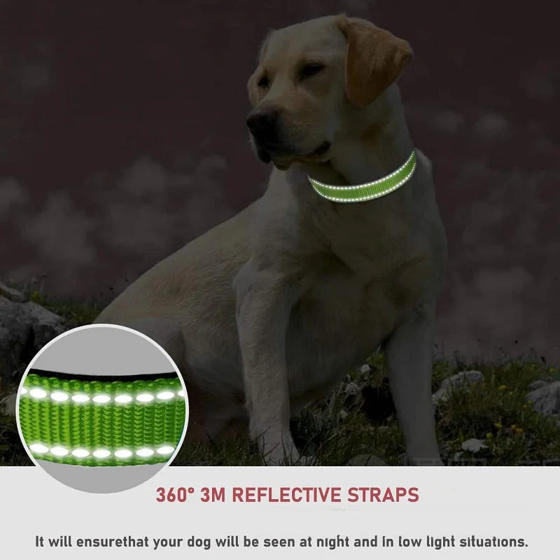 Decorative Choker Collar for Small Dogs & Puppies