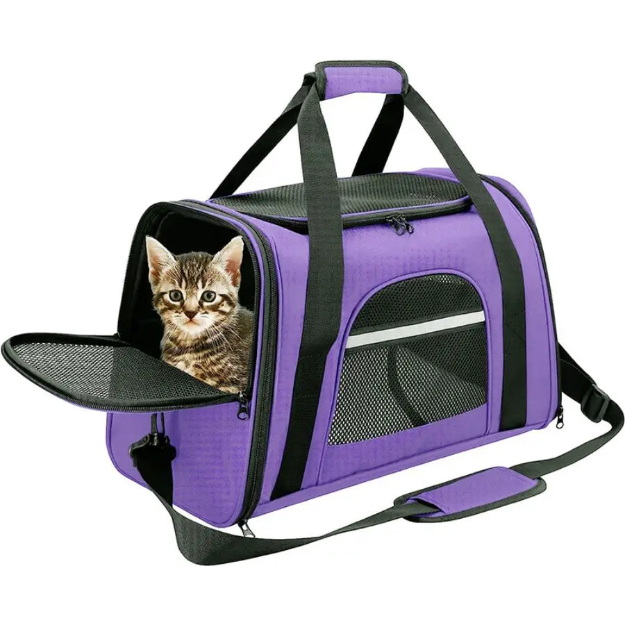 Airline-Approved Pet Carrier Bag – Soft Sided with Mat for Cats & Dogs up to 20lbs
