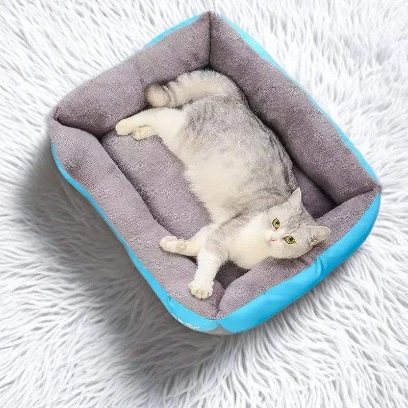 DreamCloud Calming Pet Cushion