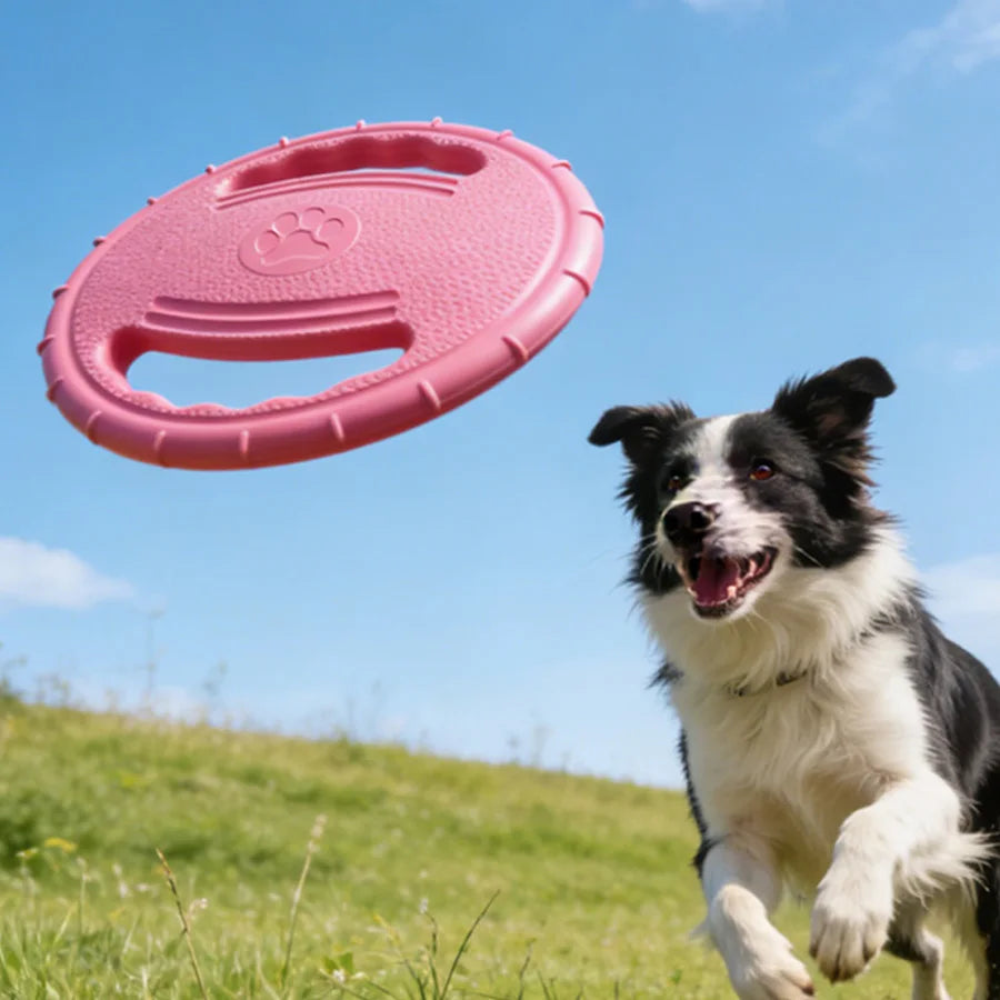Interactive Flying Disc Dog Toy – Bite-Resistant Outdoor Fun