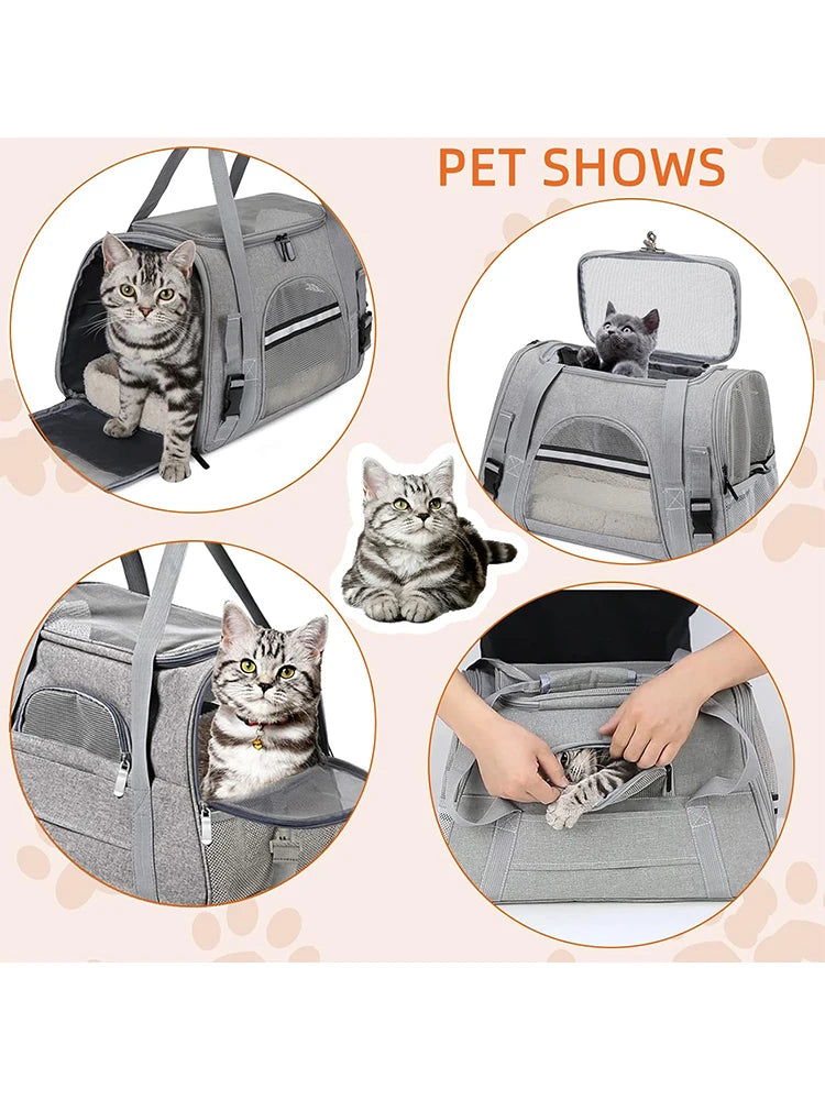 Airline-Approved Pet Carrier Bag – Soft Sided with Mat for Cats & Dogs up to 20lbs