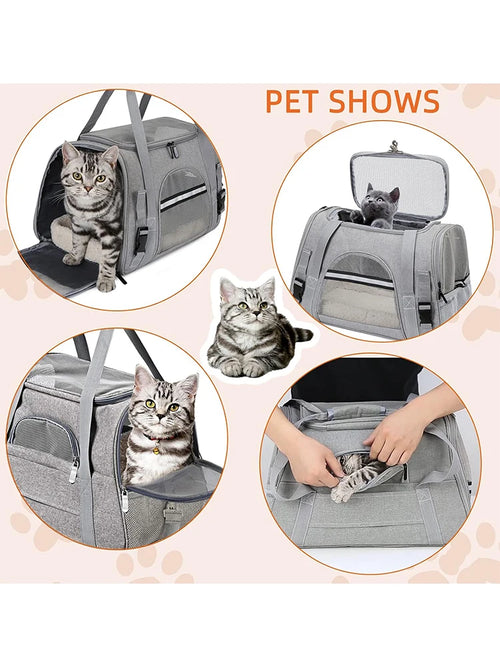 Airline-Approved Pet Carrier Bag – Soft Sided with Mat for Cats & Dogs up to 20lbs