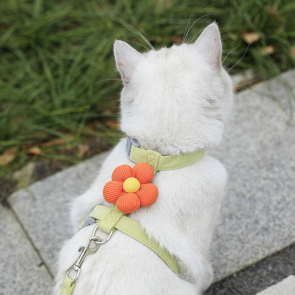 Adjustable Cat Harness & Leash Set – Breathable & Escape-Proof