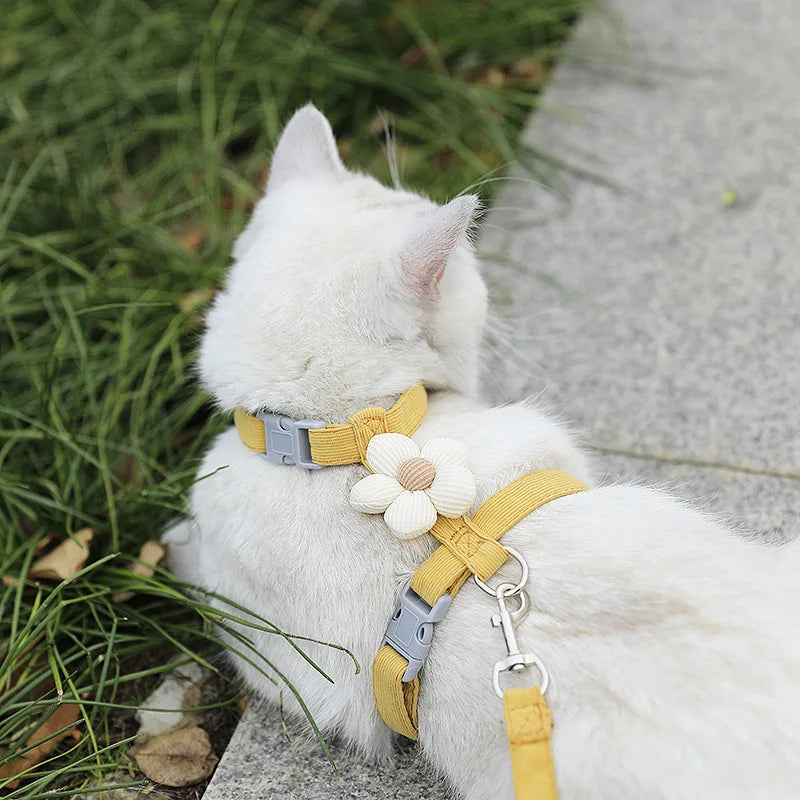 Adjustable Cat Harness & Leash Set – Breathable & Escape-Proof