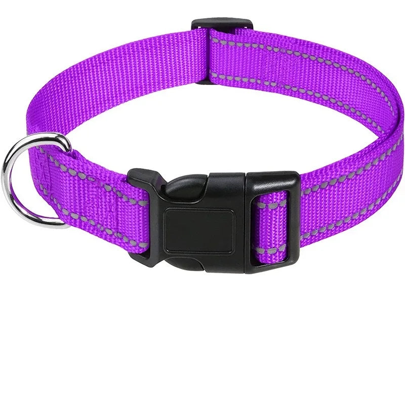 Decorative Choker Collar for Small Dogs & Puppies