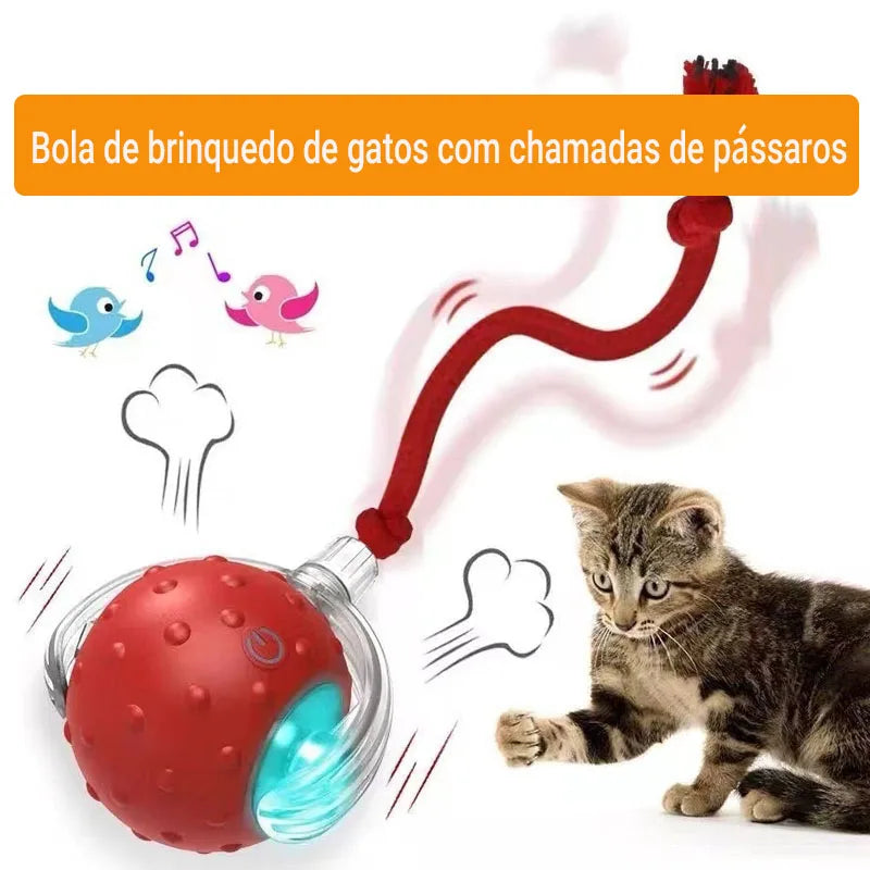 Automatic Rolling Cat Ball Toy – Rechargeable Interactive Toy