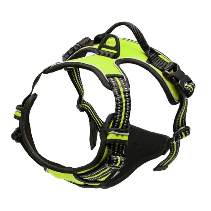 ClassicWalk Leather-Style Harness Set