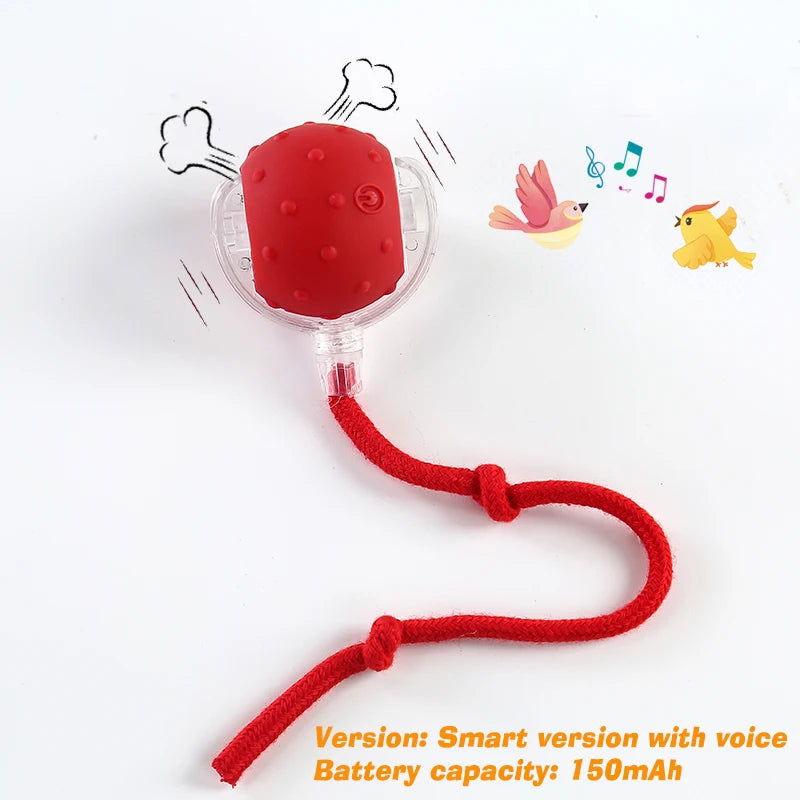 Automatic Rolling Cat Ball Toy – Rechargeable Interactive Toy