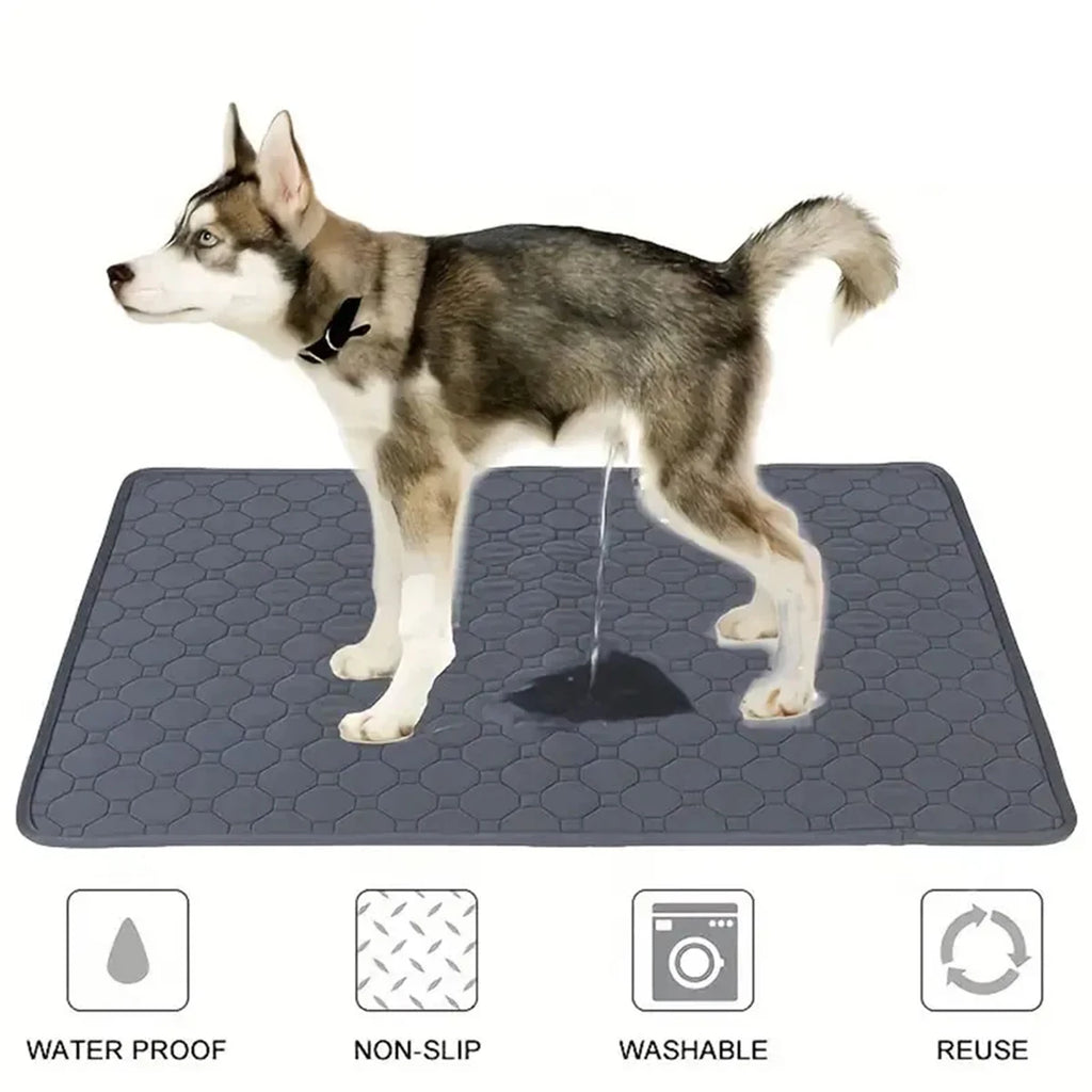 Reusable Waterproof Dog Pee Pad – Washable Training Mat