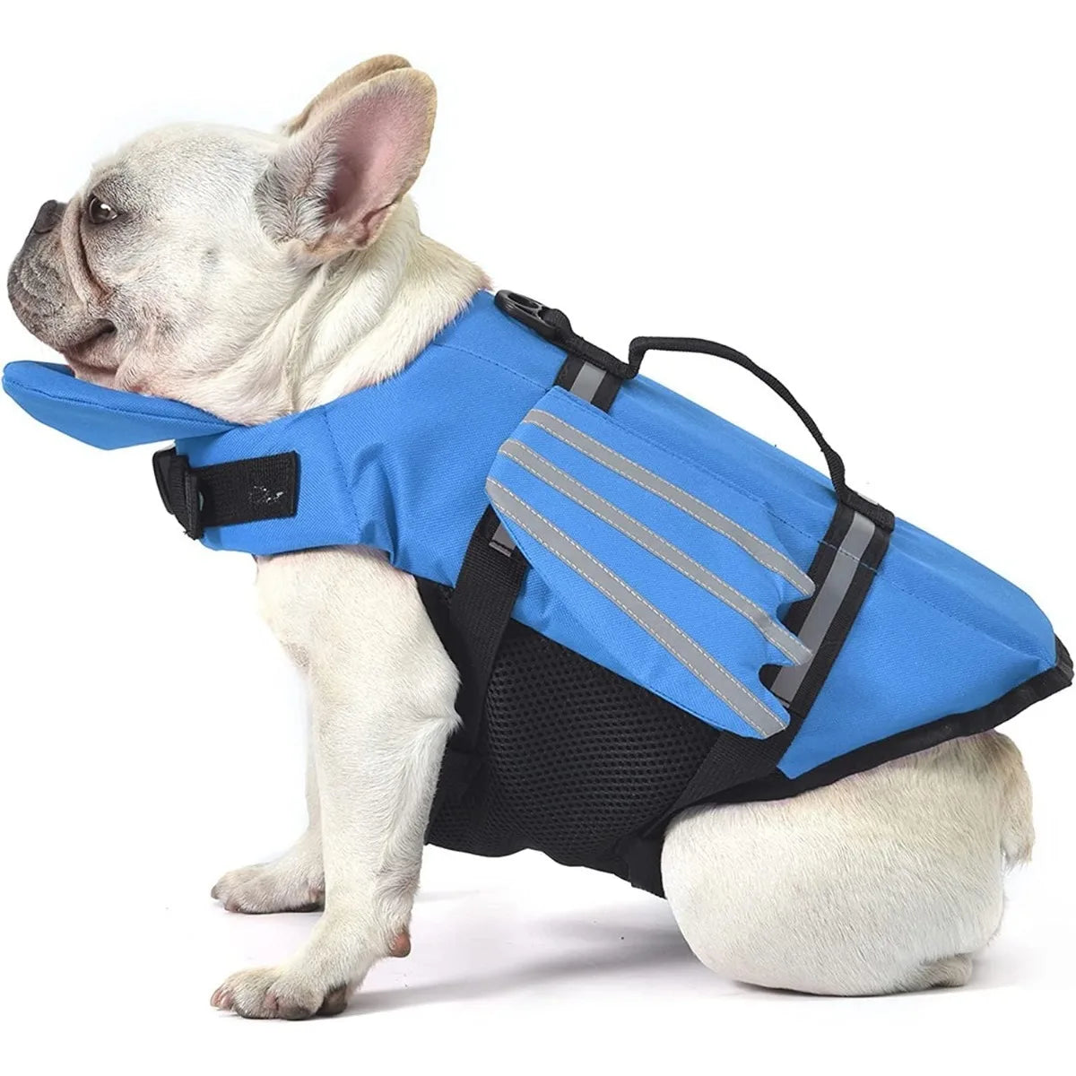 SafeSplash Dog Life Jacket