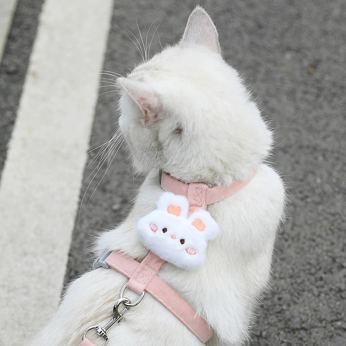 Adjustable Cat Harness & Leash Set – Breathable & Escape-Proof