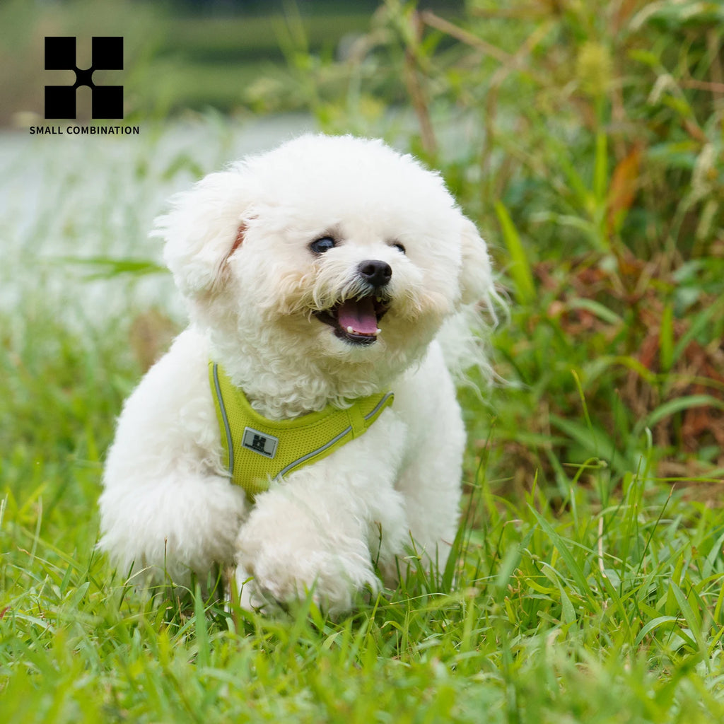 StepOut Adjustable Reflective Harness Set