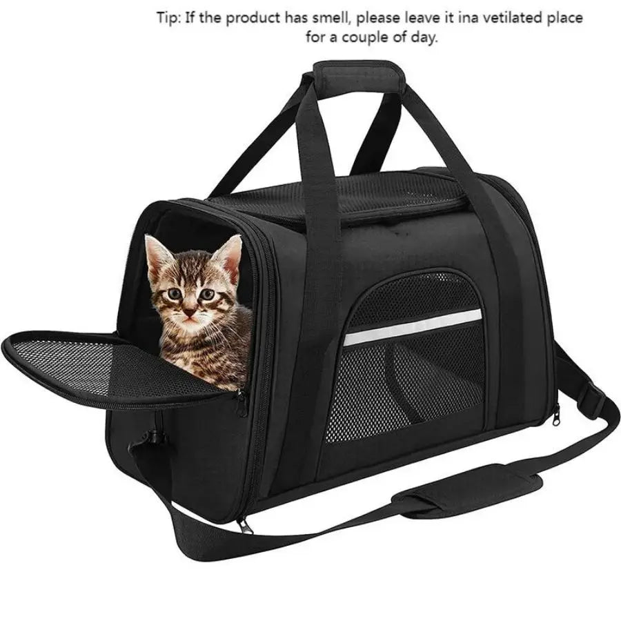 Airline-Approved Pet Carrier Bag – Soft Sided with Mat for Cats & Dogs up to 20lbs