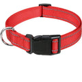 Decorative Choker Collar for Small Dogs & Puppies