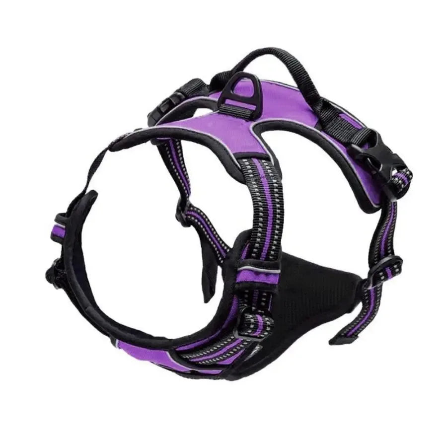 ClassicWalk Leather-Style Harness Set