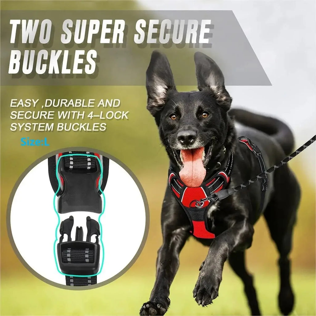 ClassicWalk Leather-Style Harness Set