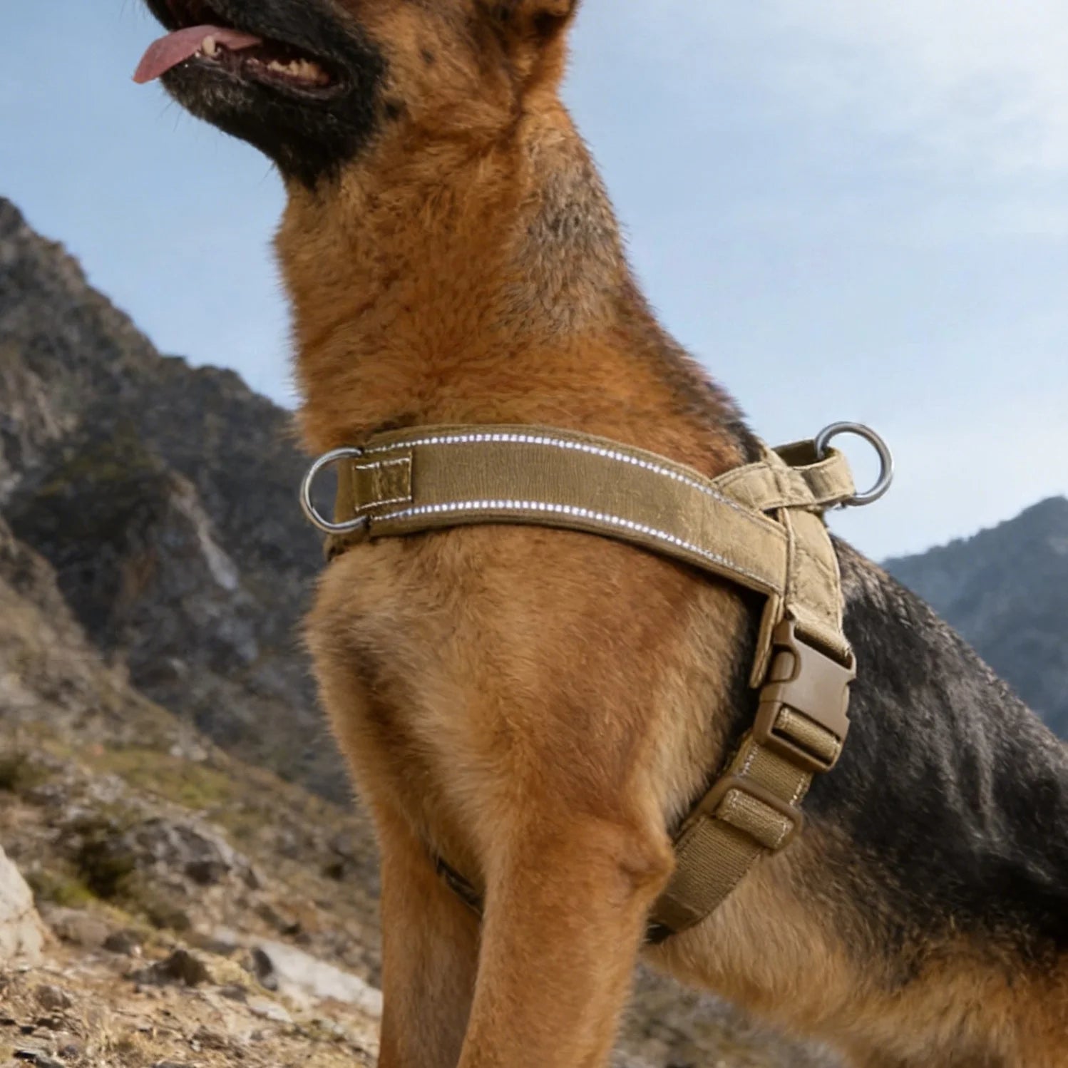 Heavy-Duty Tactical No-Pull Dog Harness – Padded Vest for Large Breeds