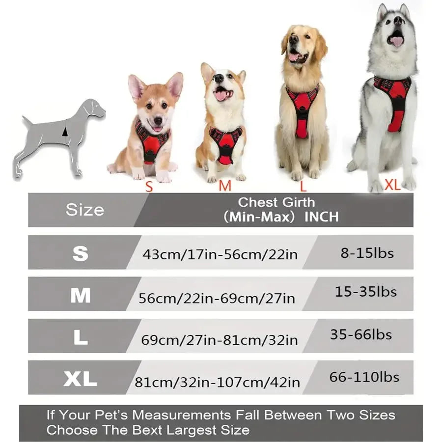 ClassicWalk Leather-Style Harness Set