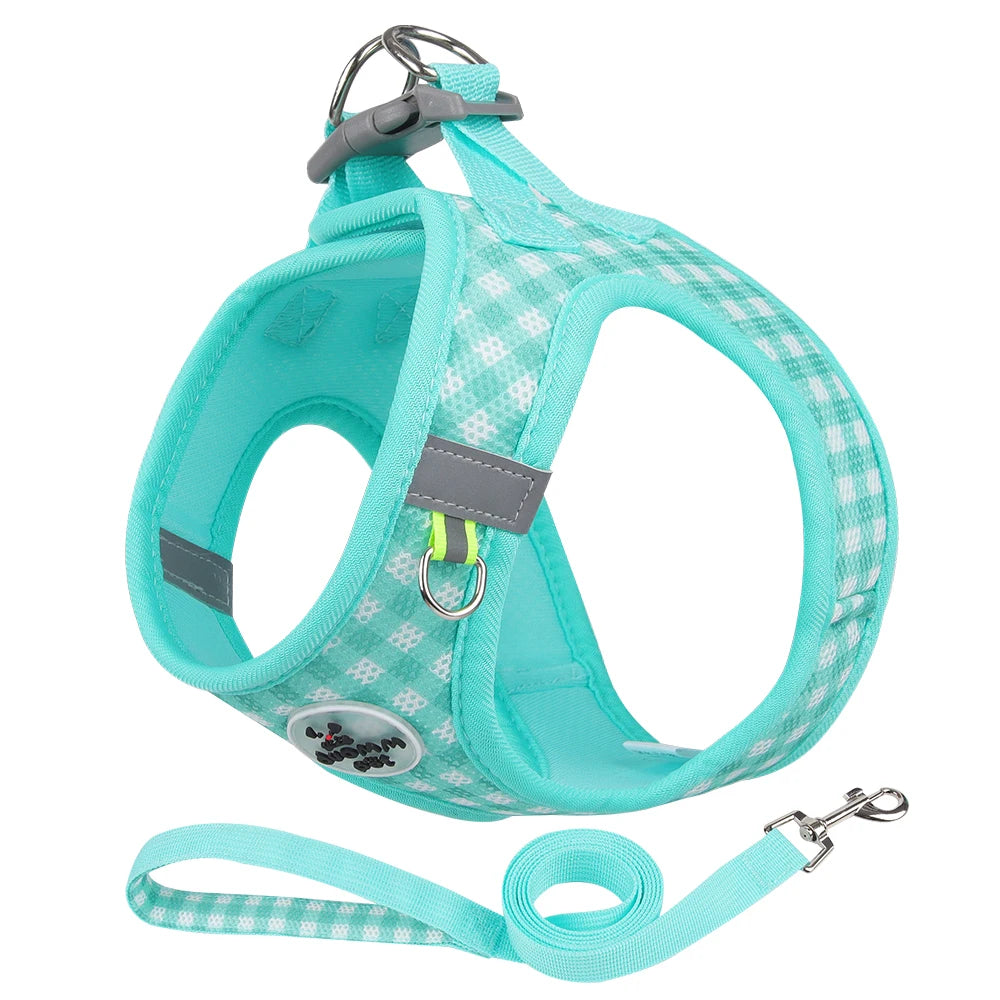 CheckMate Reflective Pet Harness & Lead