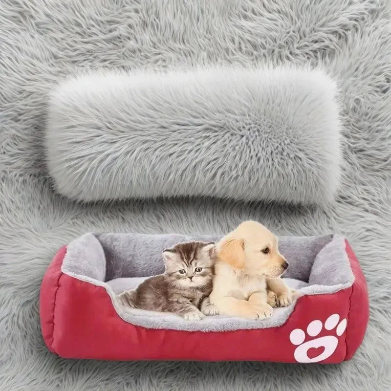 DreamCloud Calming Pet Cushion