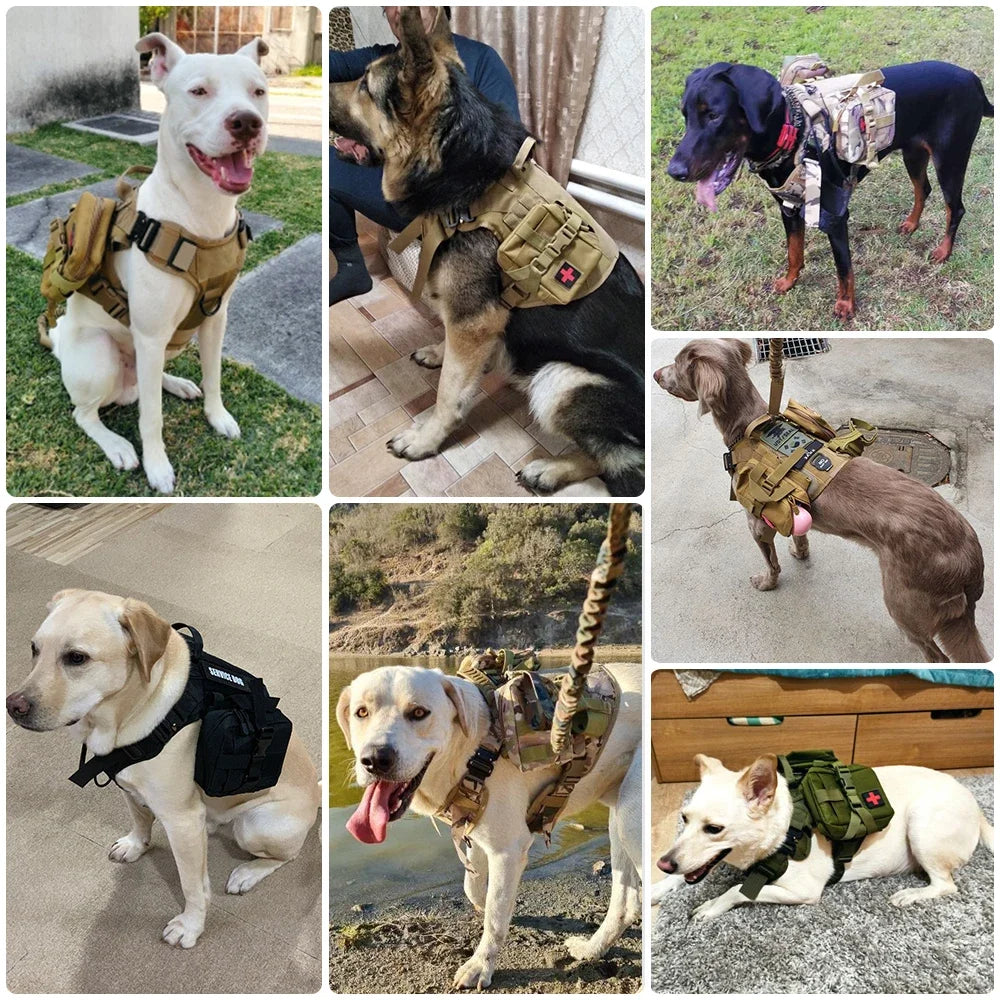 TacticalGuard Heavy-Duty Dog Harness