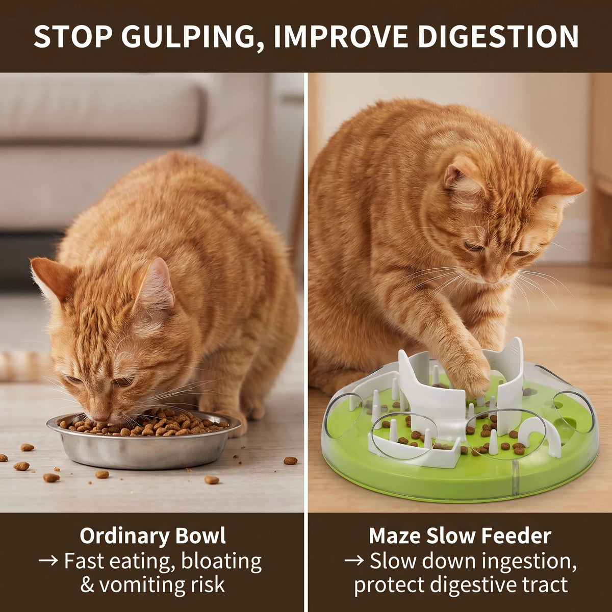 MazeFeed Interactive Cat Puzzle Feeder