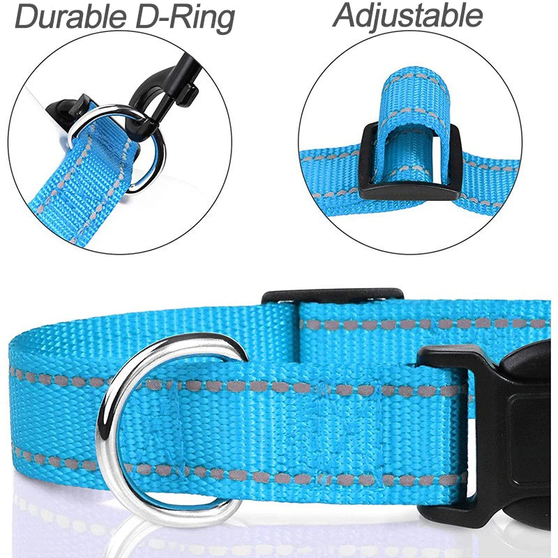 Decorative Choker Collar for Small Dogs & Puppies