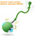 Automatic Rolling Cat Ball Toy – Rechargeable Interactive Toy