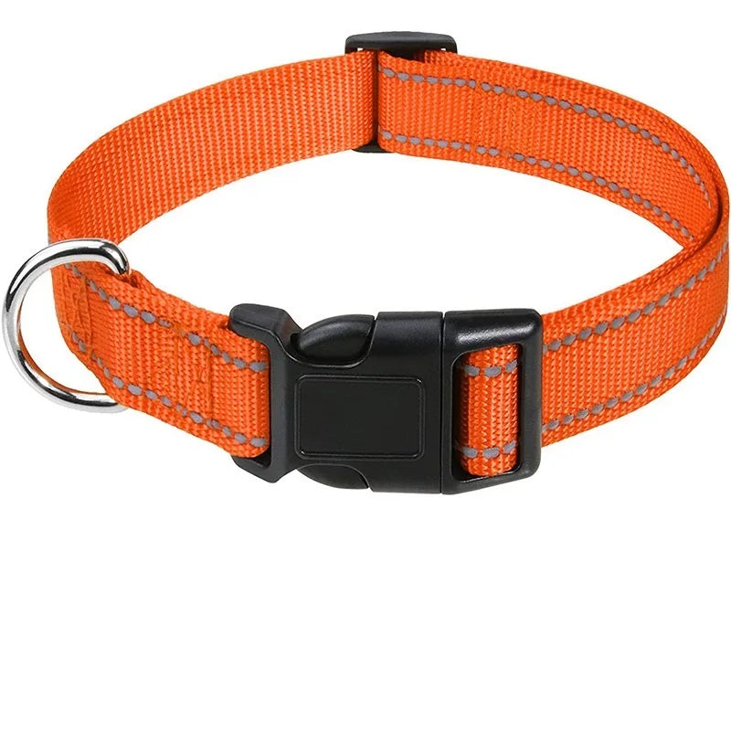 Decorative Choker Collar for Small Dogs & Puppies