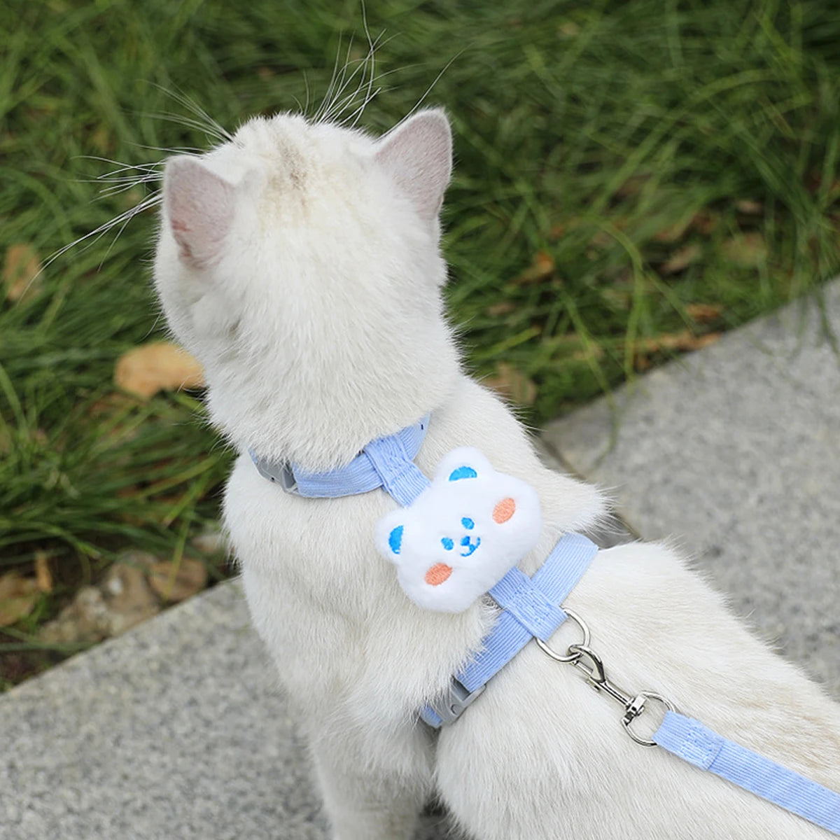 Adjustable Cat Harness & Leash Set – Breathable & Escape-Proof