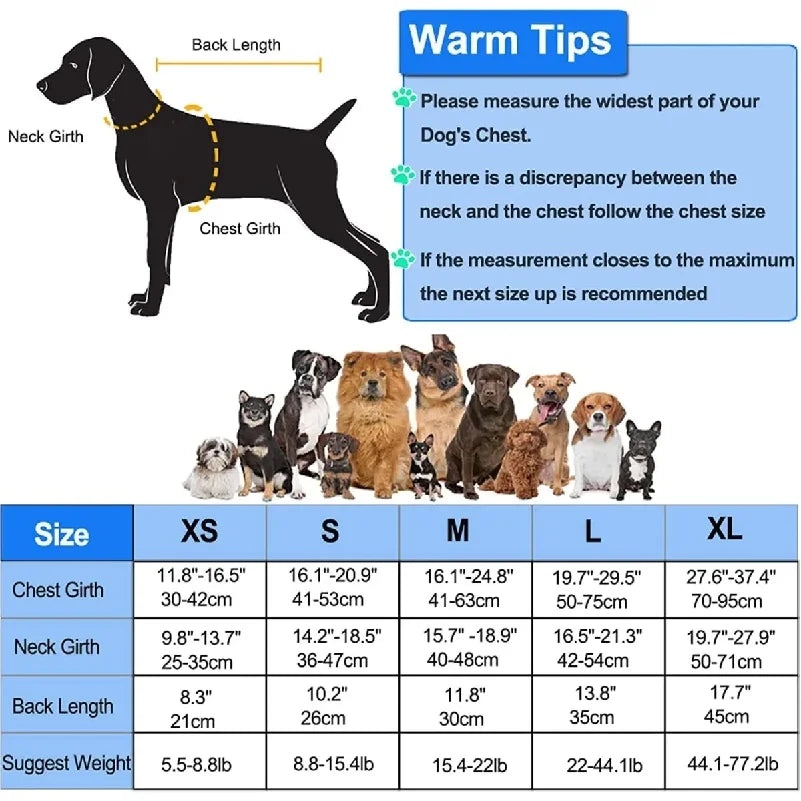 SafeSplash Dog Life Jacket