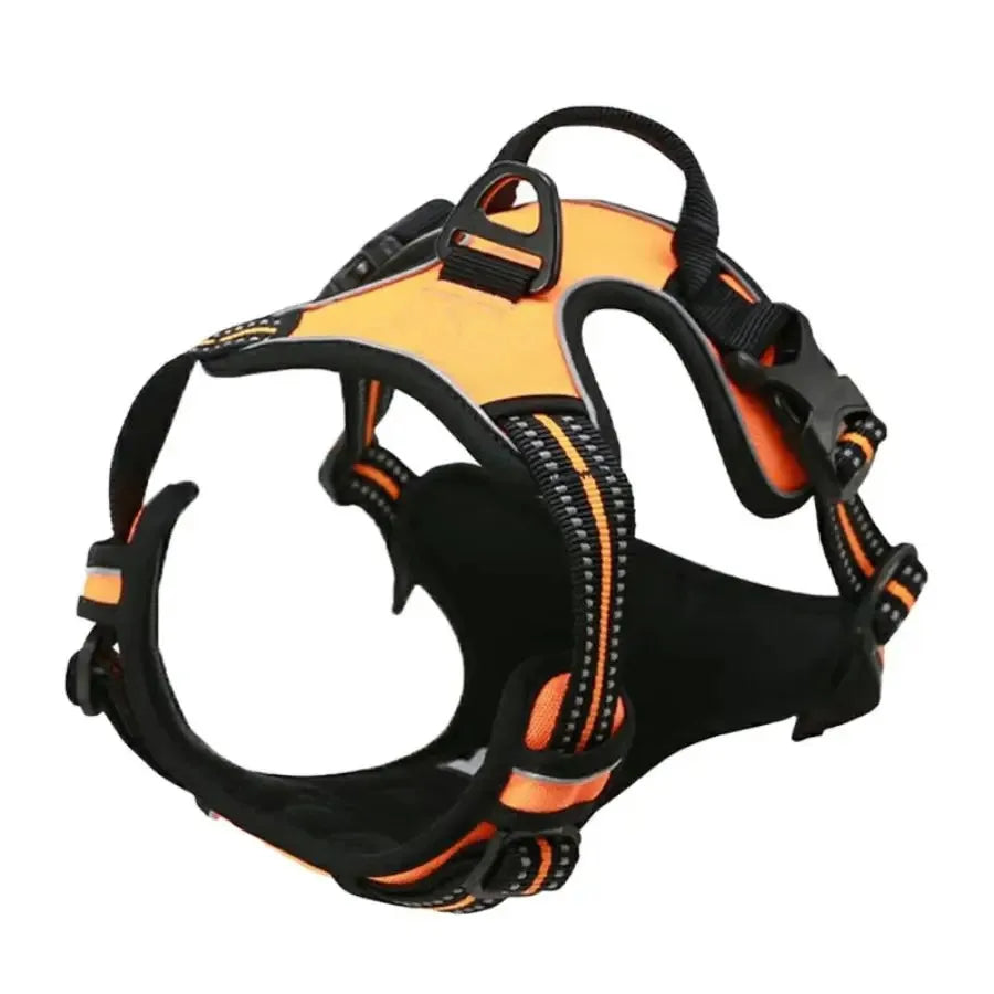 ClassicWalk Leather-Style Harness Set