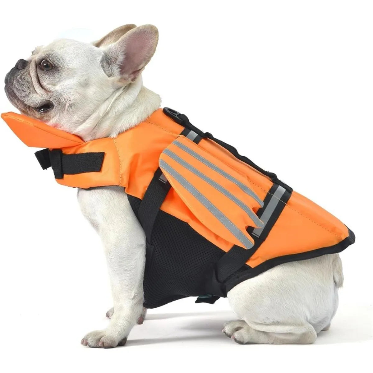 SafeSplash Dog Life Jacket